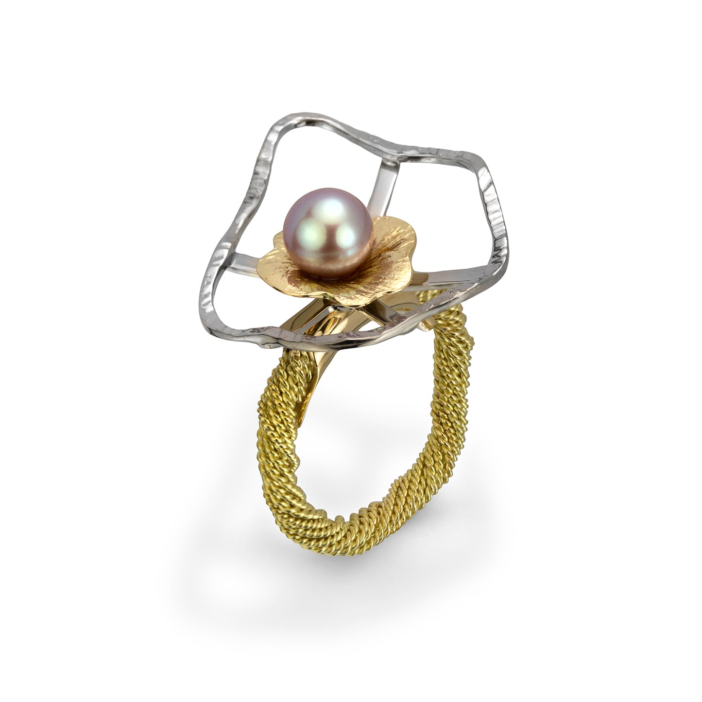 Beneath the Surface Mycelial Ring